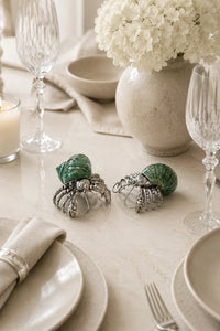 Hermit Crab Salt & Pepper Shaker